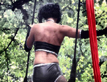 Circus Trapeze foto 9