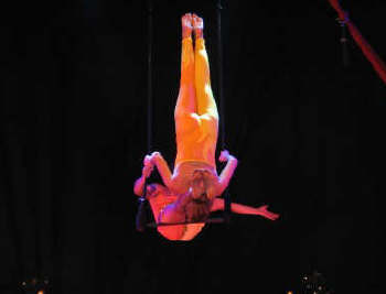 Circus Trapeze foto 1