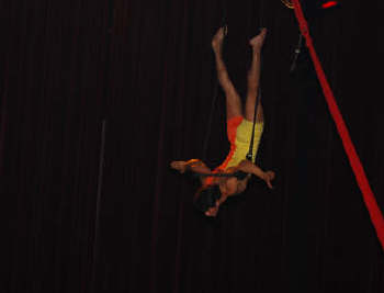 Circus Trapez foto 31