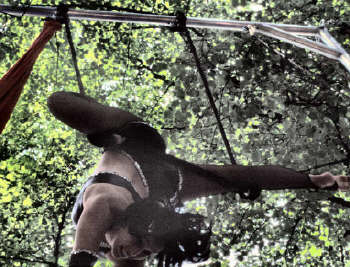 Circus Trapeze foto 7