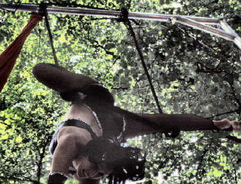 Circus Trapeze foto 7